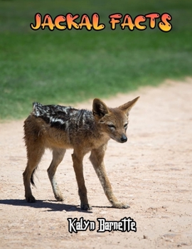 JACKAL FACTS: JACKAL fact for girl age 1-10 JACKAL fact for boy age 1-10 facts about all about JACKAL
