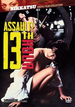 DVD Assault! 13th Hour Book