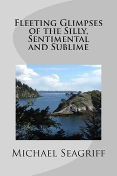 Paperback Fleeting Glimpses of the Silly, Sentimental and Sublime Book