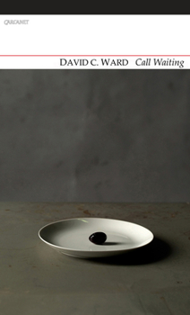 Paperback Call Waiting Book