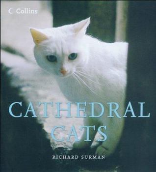 Hardcover Cathedral Cats Book