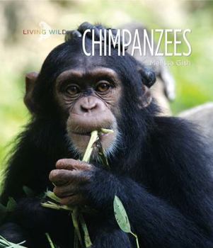 Chimpanzees - Book  of the Living Wild