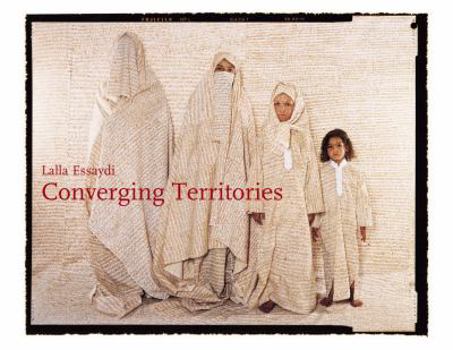 Paperback Converging Territories Book