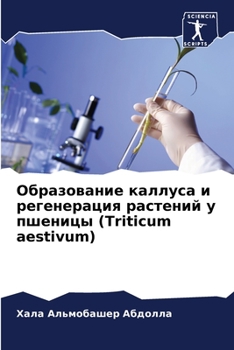 Paperback Образование каллуса и ре [Russian] Book