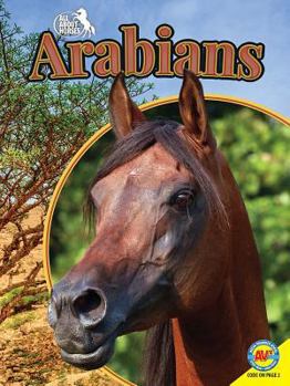 Paperback Arabians Book