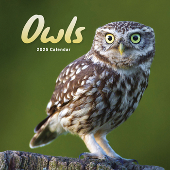 Calendar 2025 Owls Mini calendar: Plastic Free Packaging Book
