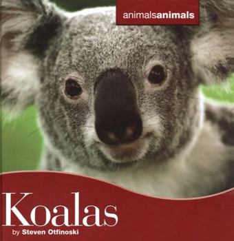 Library Binding Koalas Book