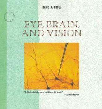 Eye, Brain, and Vision - Book #22 of the Scientific American Library Series