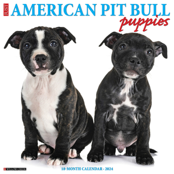Calendar Just American Pit Bull Terrier Puppies 2024 12 X 12 Wall Calendar Book