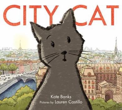 Hardcover City Cat Book