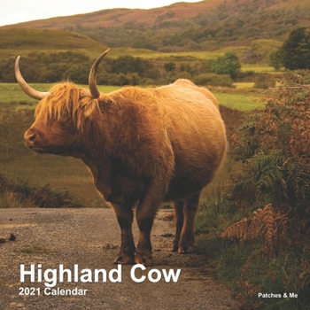 Paperback Highland Cow: 2021 Calendar Book