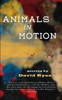 Paperback Animals in Motion: Stories Book