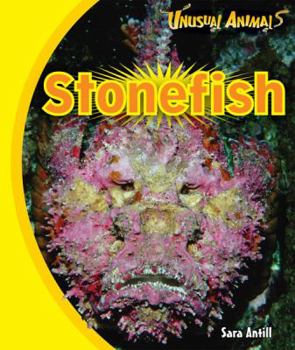 Stonefish - Book  of the Unusual Animals