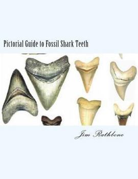 Paperback Pictorial Guide to Fossil Shark Teeth: Shark Teeth From around the World Book