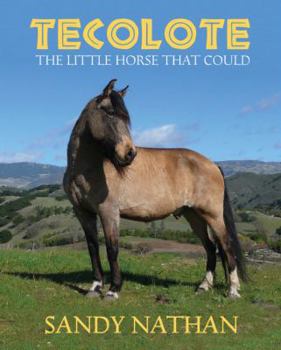 Paperback Tecolote: The Little Horse That Could Book