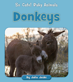 Paperback Donkeys Book