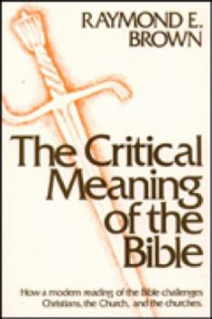 Paperback The Critical Meaning of the Bible Book