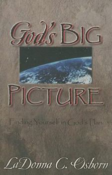 Paperback God's Big Picture: Finding Yourself in God's Plan Book