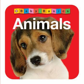 Board book Baby Basics Animals Book