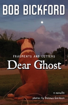 Paperback Dear Ghost: Fragments and Letters Book