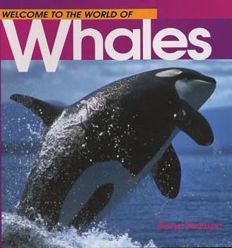 Paperback Welcome to the World of Whales Book