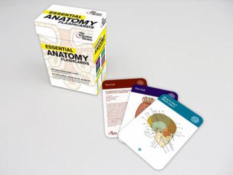 Cards Essential Anatomy Flashcards (Graduate School Test Preparation) Book