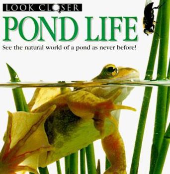 Paperback Pond Life Book