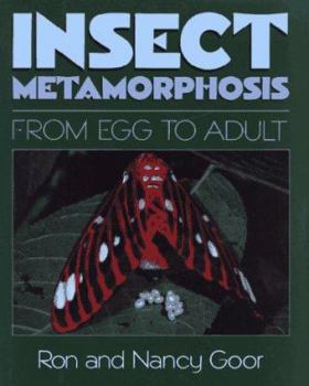 Hardcover Insect Metamorphosis: From Egg to Adult Book