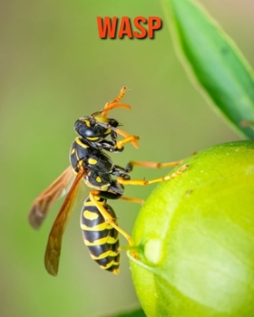 Paperback Wasp: Learn About Wasp and Enjoy Colorful Pictures Book