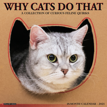 Calendar Why Cats Do That 2021 Wall Calendar Book