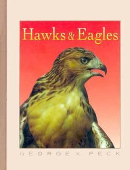 Hardcover Hawks & Eagles Book