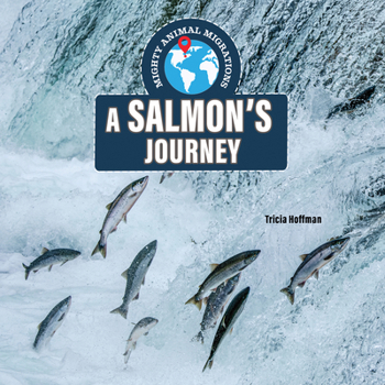 Salmon's Journey