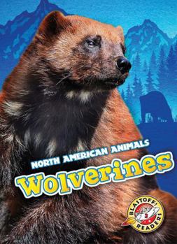 Wolverines - Book  of the North American Animals