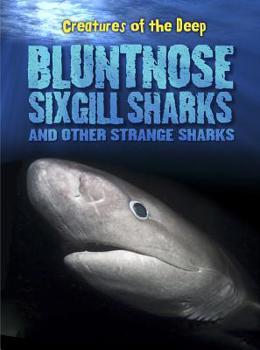 Paperback Bluntnose Sixgill Sharks and Other Strange Sharks Book