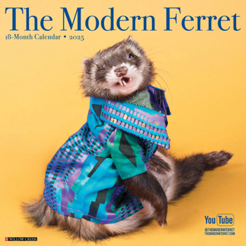 Calendar Modern Ferret 2025 12 X 12 Wall Calendar Book