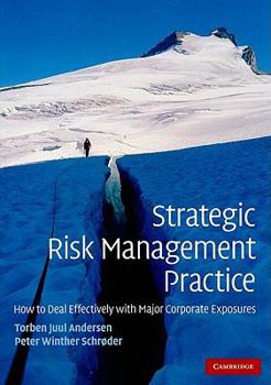 Paperback Strategic Risk Management Practice Book