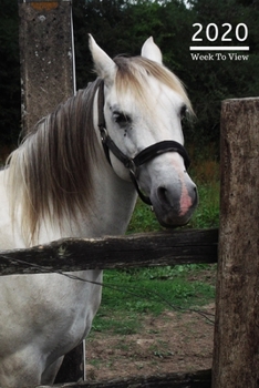 2020 A5 Diary Week To View Planner For All Occasions: | Year Planner For Business, Office, Home, University, College, School, Appointments, Organizer.