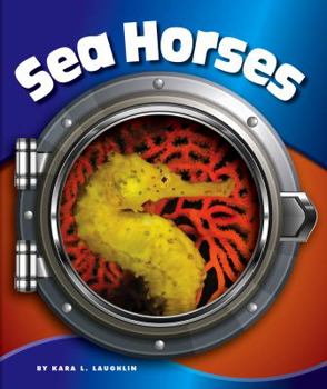 Sea Horses - Book  of the In the Deep Blue Sea