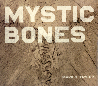 Hardcover Mystic Bones Book