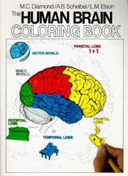 Paperback The Human Brain Coloring Book