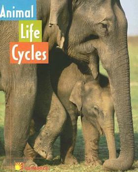 Paperback Animal Life Cycles Book