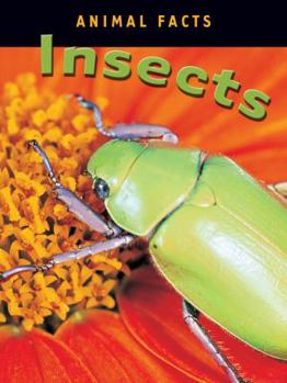 Library Binding Insects Book