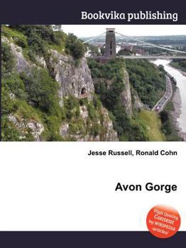 Paperback Avon Gorge Book