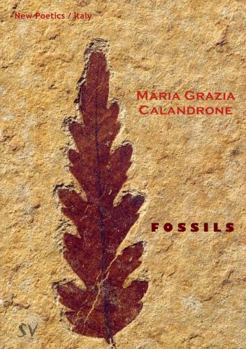 Paperback Fossils Book