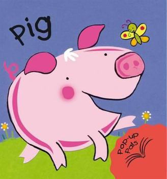 Hardcover Pig. Fiona Hayes Book