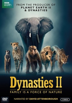 DVD Dynasties II: Season 2 Book
