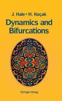 Hardcover Dynamics and Bifurcations Book