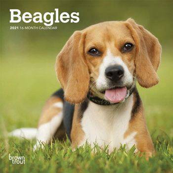 Calendar Beagles 2021 Mini 7x7 Book