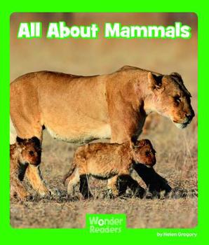 Paperback All about Mammals Book