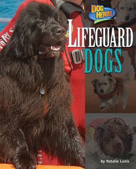 Library Binding Lifeguard Dogs Book